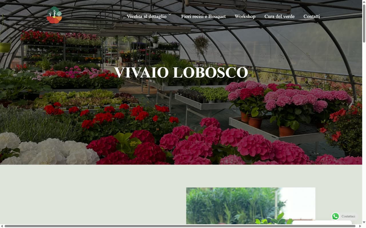 Before redesign